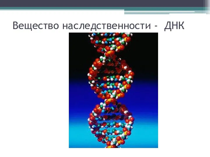 Вещество наследственности - ДНК