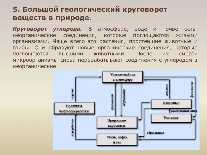 5. Большой геологический круговорот веществ в природе. Круговорот углерода. В атмосфере,