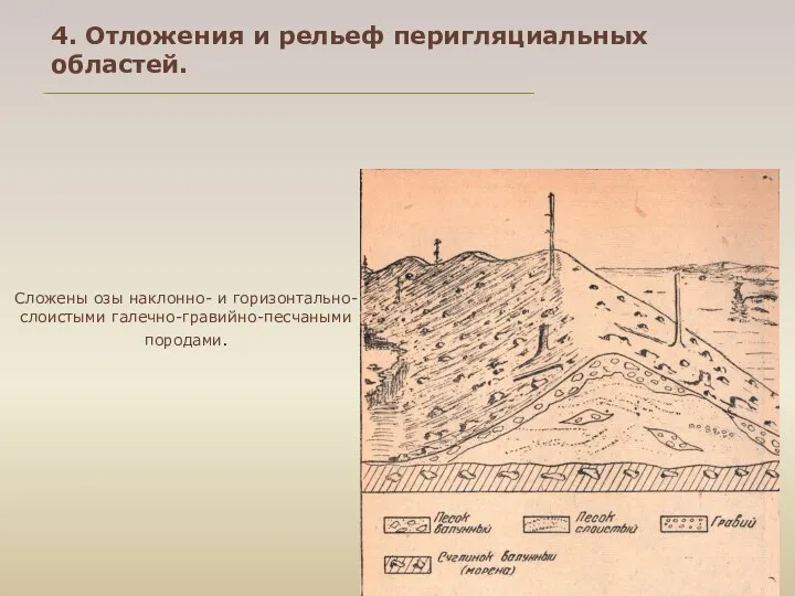 Сложены озы наклонно- и горизонтально-слоистыми галечно-гравийно-песчаными породами. 4. Отложения и рельеф перигляциальных областей.