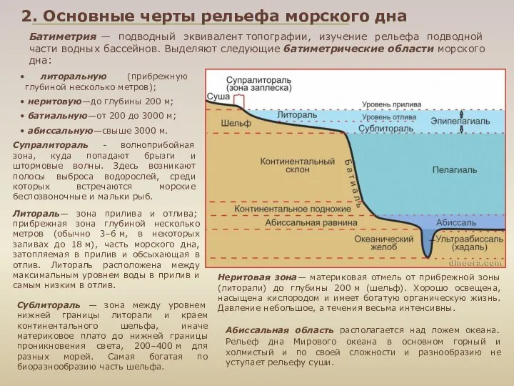 литоральную (прибрежную глубиной несколько метров); неритовую—до глубины 200 м; батиальную—от 200