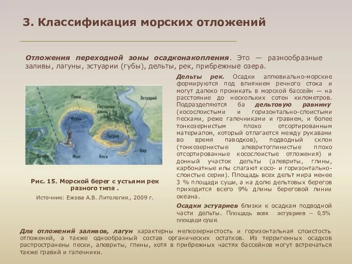 Отложения переходной зоны осадконакопления. Это — разнообразные заливы, лагуны, эстуарии (губы),