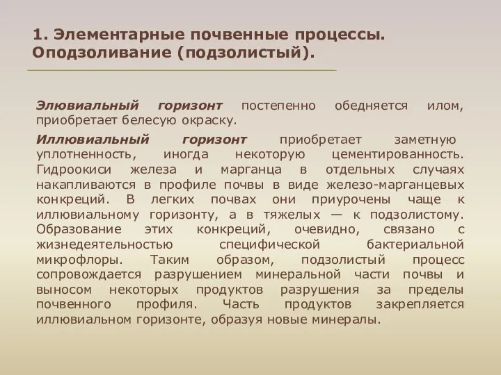 Элювиальный горизонт постепенно обедняется илом, приобретает белесую окраску. Иллювиальный горизонт приобретает