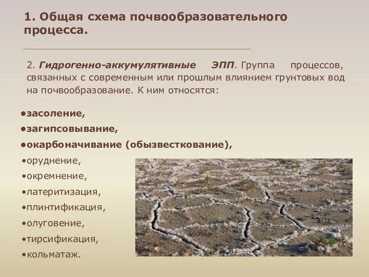 1. Общая схема почвообразовательного процесса. 2. Гидрогенно-аккумулятивные ЭПП. Группа процессов, связанных