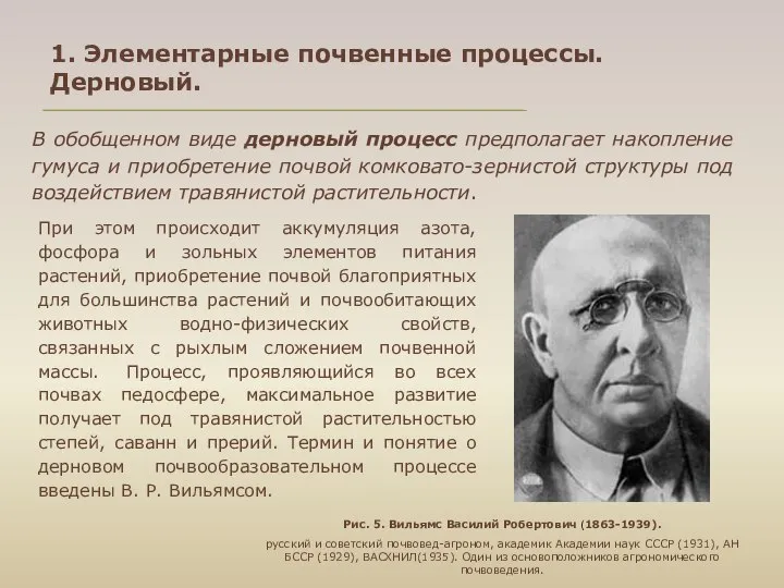 1. Элементарные почвенные процессы. Дерновый. В обобщенном виде дерновый процесс предполагает