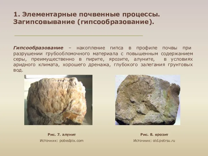 1. Элементарные почвенные процессы. Загипсовывание (гипсообразование). Гипсообразование – накопление гипса в