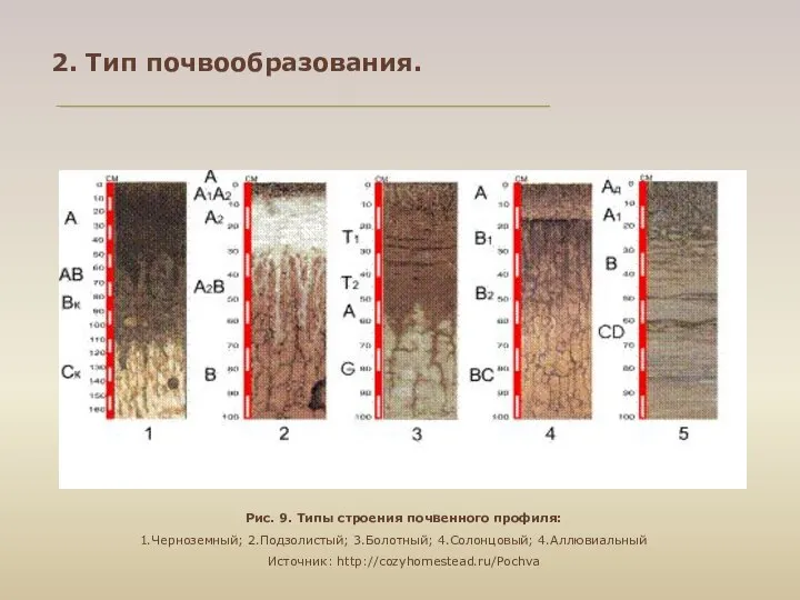 2. Тип почвообразования. Рис. 9. Типы строения почвенного профиля: 1.Черноземный; 2.Подзолистый; 3.Болотный; 4.Солонцовый; 4.Аллювиальный Источник: http://cozyhomestead.ru/Pochva