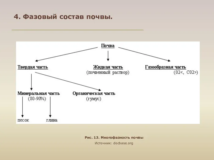 4. Фазовый состав почвы. Рис. 13. Многофазность почвы Источник: docbase.org