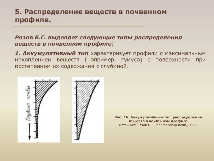 5. Распределение веществ в почвенном профиле. Розов Б.Г. выделяет следующие типы