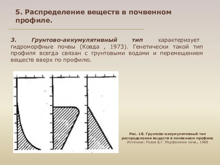 5. Распределение веществ в почвенном профиле. 3. Грунтово-аккумулятивный тип характеризует гидроморфные