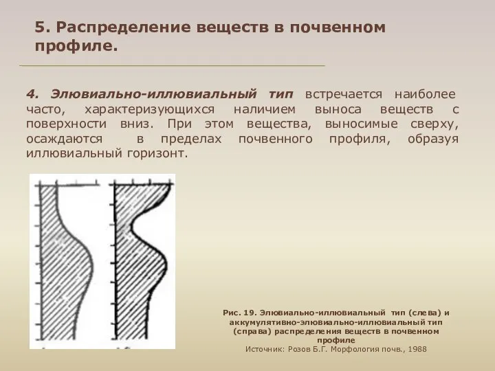 4. Элювиально-иллювиальный тип встречается наиболее часто, характеризующихся наличием выноса веществ с