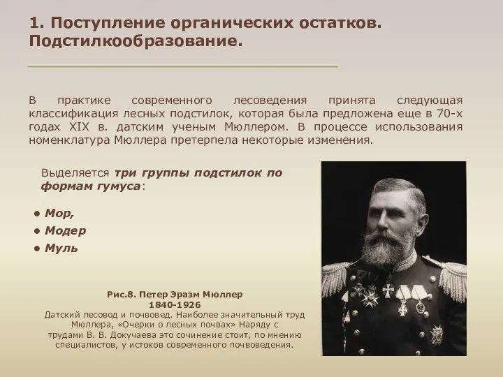 1. Поступление органических остатков. Подстилкообразование. B практике современного лесоведения принята следующая