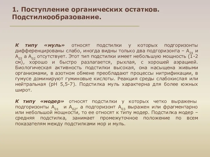 1. Поступление органических остатков. Подстилкообразование. К типу «муль» относят подстилки у