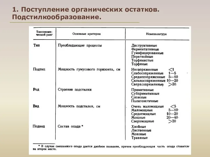 1. Поступление органических остатков. Подстилкообразование.