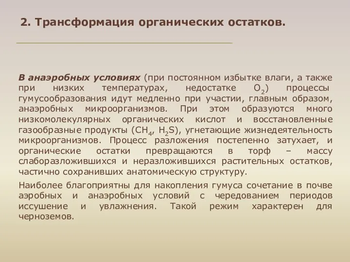 В анаэробных условиях (при постоянном избытке влаги, а также при низких