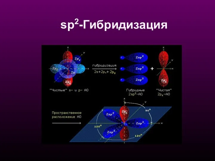 sр2-Гибридизация