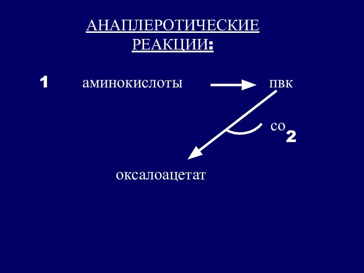 АНАПЛЕРОТИЧЕСКИЕ РЕАКЦИИ: 1