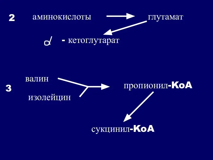 пропионил-KoA