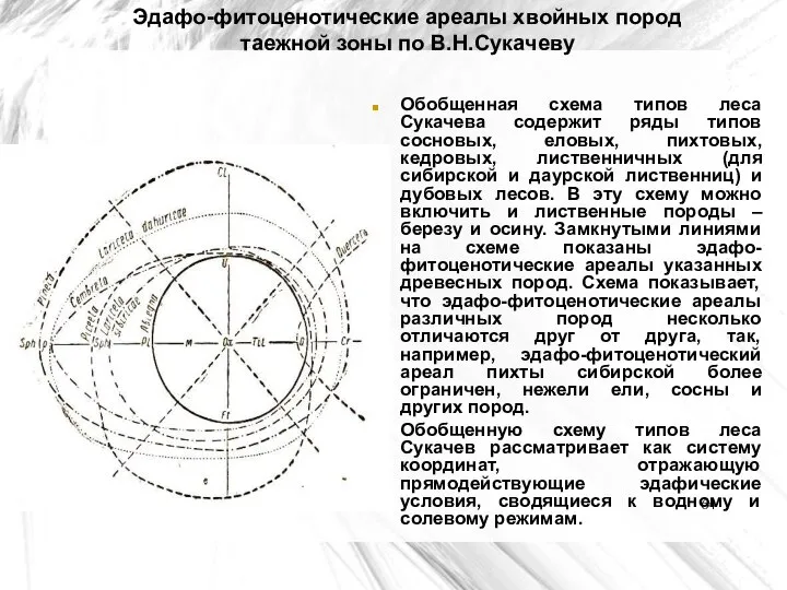 Эдафо-фитоценотические ареалы хвойных пород таежной зоны по В.Н.Сукачеву Обобщенная схема типов