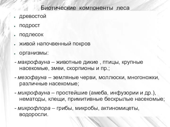 Биотические компоненты леса древостой подрост подлесок живой напочвенный покров организмы: -