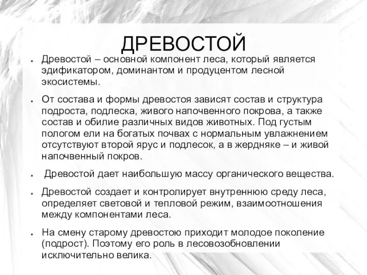 ДРЕВОСТОЙ Древостой – основной компонент леса, который является эдификатором, доминантом и