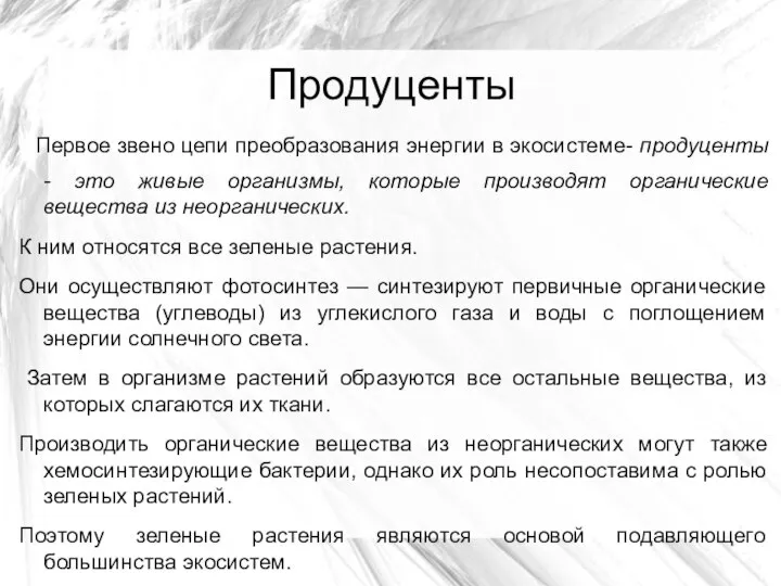 Продуценты Первое звено цепи преобразования энергии в экосистеме- продуценты - это