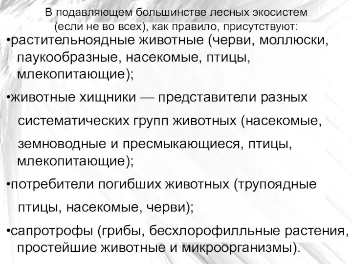 В подавляющем большинстве лесных экосистем (если не во всех), как правило,