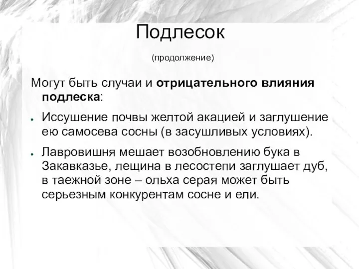 Подлесок (продолжение) Могут быть случаи и отрицательного влияния подлеска: Иссушение почвы