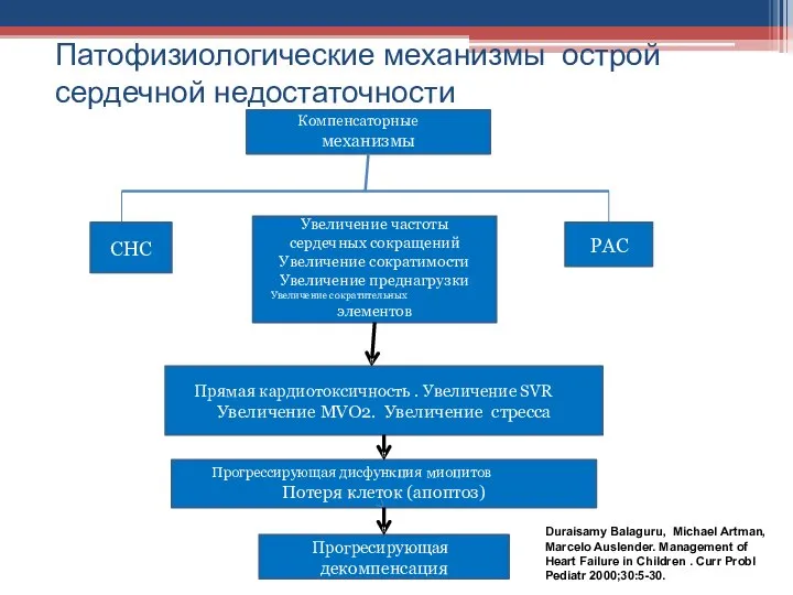 Патофизиологические механизмы острой сердечной недостаточности Duraisamy Balaguru, Michael Artman, Marcelo Auslender.