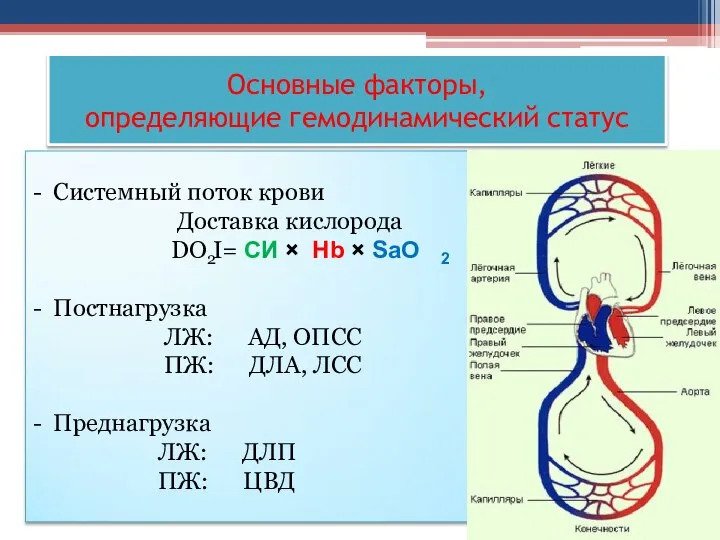 Основные факторы, определяющие гемодинамический статус - Системный поток крови Доставка кислорода