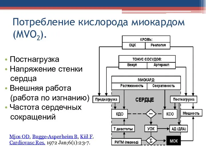 Потребление кислорода миокардом (MVO ). 2 • Постнагрузка • Напряжение стенки