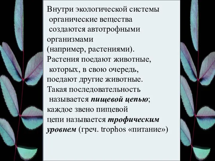 Внутри экологической системы органические вещества создаются автотрофными организмами (например, растениями). Растения