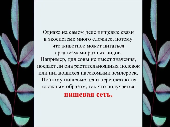 Однако на самом деле пищевые связи в экосистеме много сложнее, потому