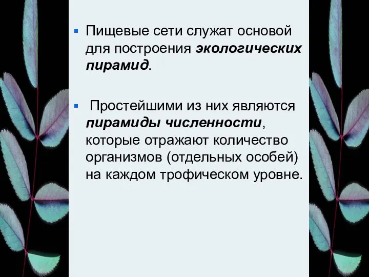 Пищевые сети служат основой для построения экологических пирамид. Простейшими из них