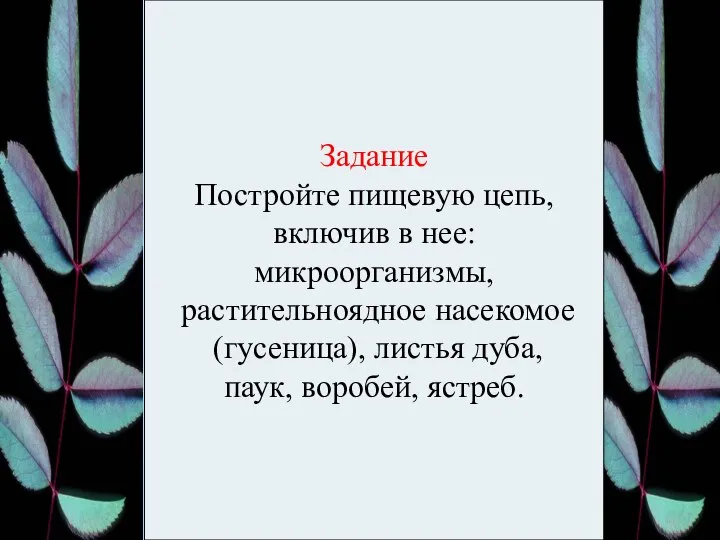 Задание Постройте пищевую цепь, включив в нее: микроорганизмы, растительноядное насекомое (гусеница), листья дуба, паук, воробей, ястреб.