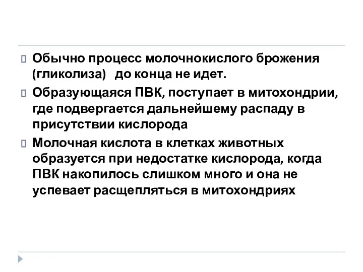 Обычно процесс молочнокислого брожения (гликолиза) до конца не идет. Образующаяся ПВК,