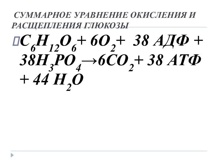 СУММАРНОЕ УРАВНЕНИЕ ОКИСЛЕНИЯ И РАСЩЕПЛЕНИЯ ГЛЮКОЗЫ С6Н12О6+ 6О2+ 38 АДФ +