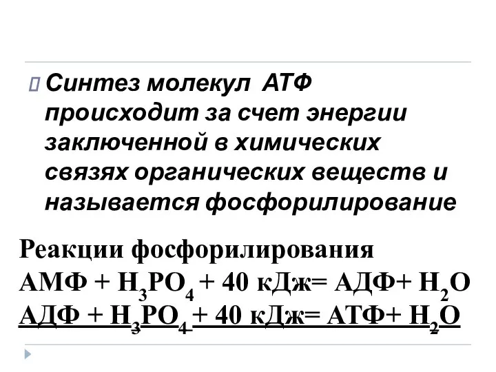 Синтез молекул АТФ происходит за счет энергии заключенной в химических связях