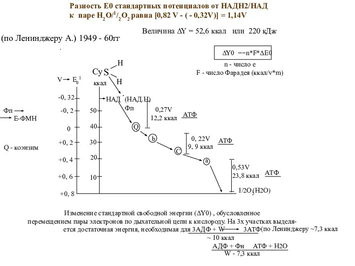 Разность Е0 стандартных потенциалов от НАДН2/НАД к паре Н2О/1/2О2 равна [0,82