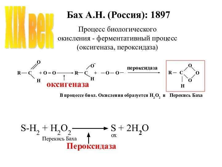 Бах А.Н. (Россия): 1897 S-H2 + H2O2 S + 2H2O Пероксидаза