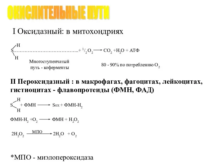 I Оксидазный: в митохондриях II Пероксидазный : в макрофагах, фагоцитах, лейкоцитах,