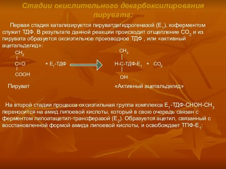 Стадии окислительного декарбоксилирования пирувата: Первая стадия катализируется пируватдегидрогеназой (Е1), коферментом служит