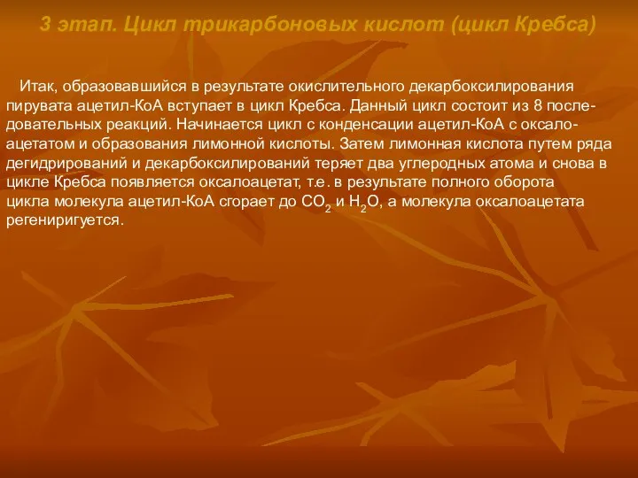 3 этап. Цикл трикарбоновых кислот (цикл Кребса) Итак, образовавшийся в результате