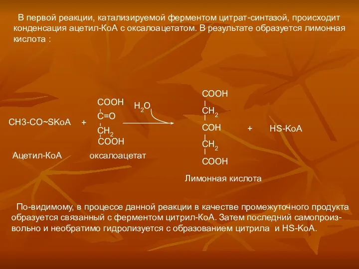 В первой реакции, катализируемой ферментом цитрат-синтазой, происходит конденсация ацетил-КоА с оксалоацетатом.