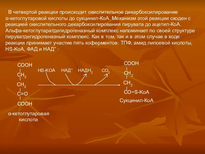 В четвертой реакции происходит окислительное декарбоксилирование α-кетоглутаровой кислоты до сукцинил-КоА. Механизм