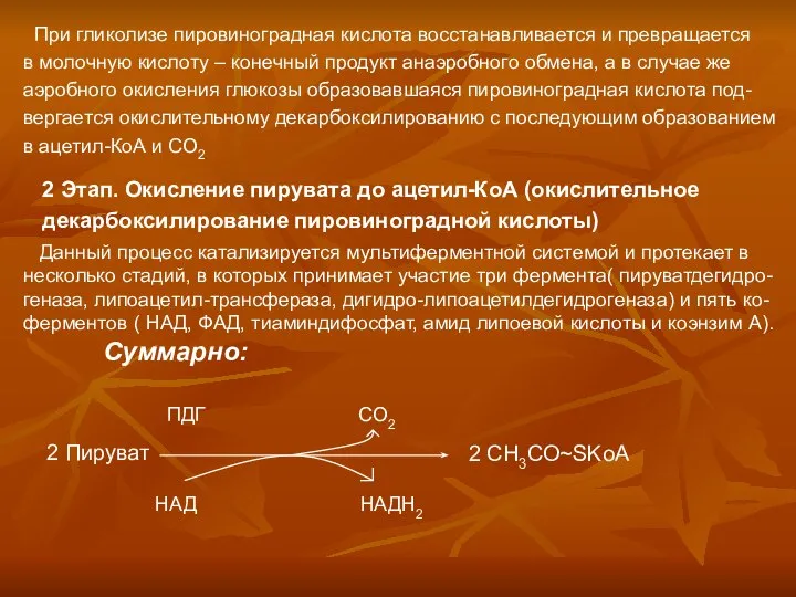 При гликолизе пировиноградная кислота восстанавливается и превращается в молочную кислоту –