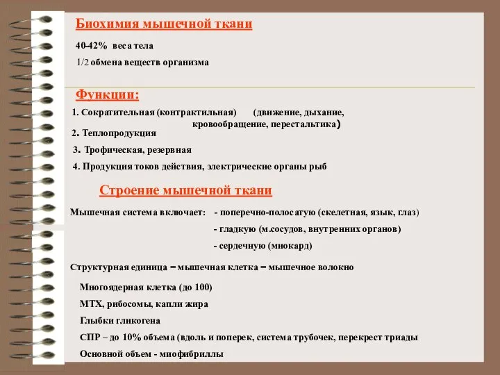 Биохимия мышечной ткани 40-42% веса тела 1/2 обмена веществ организма Функции: