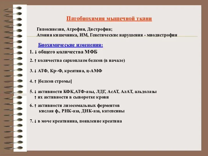 Патобиохимия мышечной ткани Гипокинезия, Атрофия, Дистрофия; Атония кишечника, ИМ, Генетические нарушения