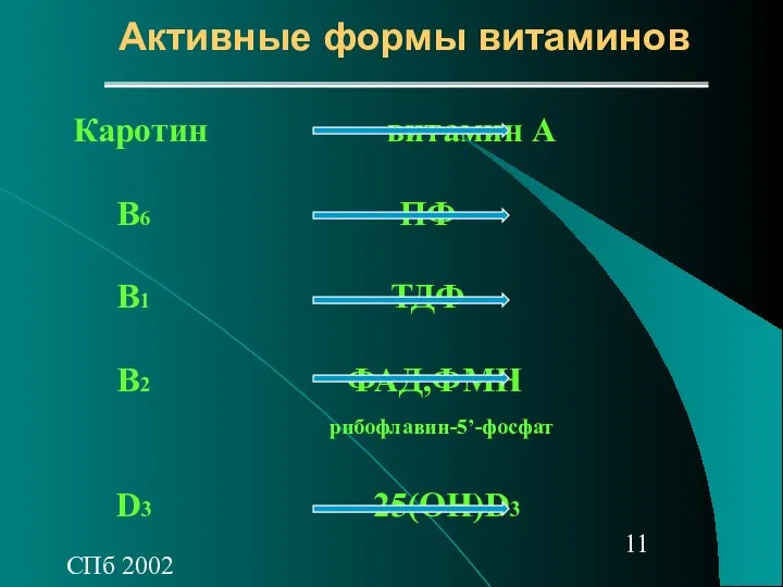 СПб 2002 Активные формы витаминов Каротин витамин А В6 ПФ В1