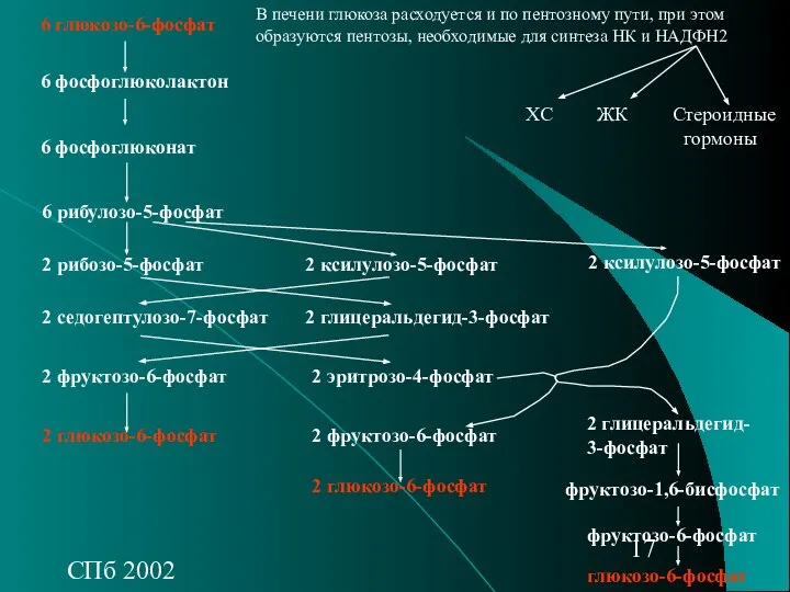 СПб 2002 В печени глюкоза расходуется и по пентозному пути, при