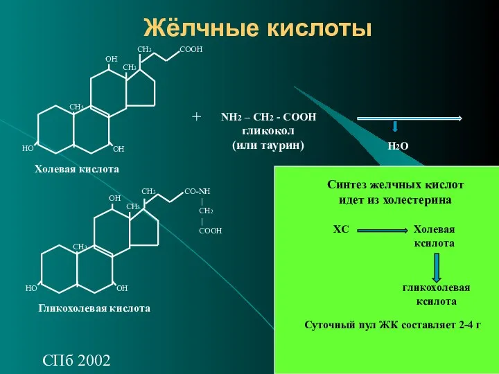 СПб 2002 Жёлчные кислоты ОН НО ОН СН3 СН3 СН3 СООН